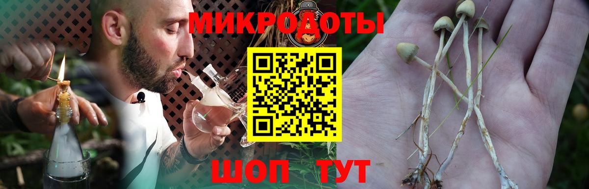 Псилоцибиновые грибы мицелий  Вход с VPN  Галлюциногенные грибы мицелий  Обнинск 